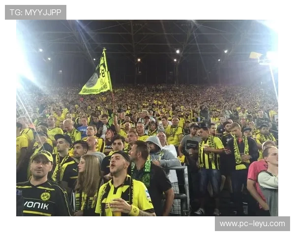 多特蒙德球迷文化展示,南看台营造主场气氛 多特蒙德球迷文化展示,南看台营造主场气氛