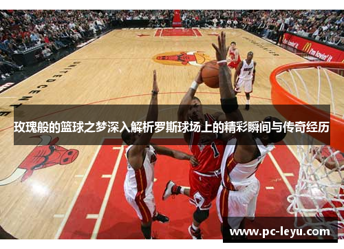 玫瑰般的篮球之梦深入解析罗斯球场上的精彩瞬间与传奇经历