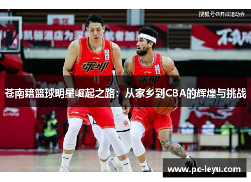 苍南籍篮球明星崛起之路：从家乡到CBA的辉煌与挑战